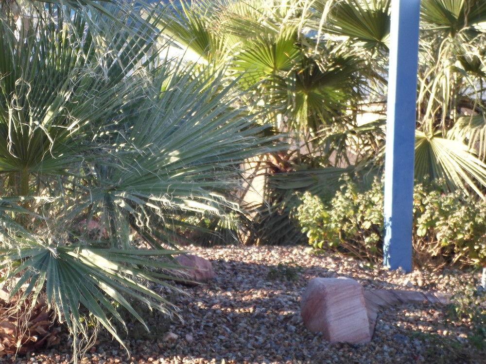 Howard Johnson By Wyndham Las Vegas Near The Strip Екстериор снимка